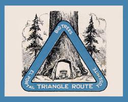 Big Trees Triangle Tours